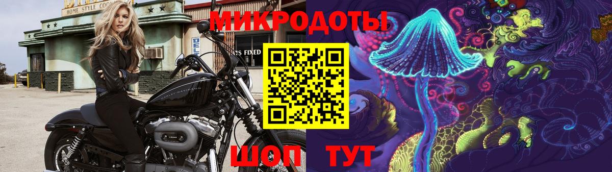 Псилоцибиновые грибы Cubensis Ртищево