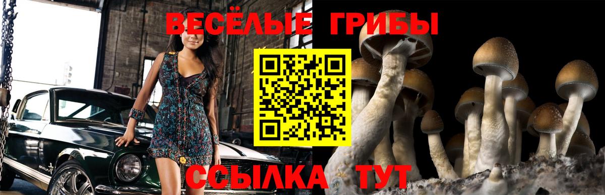 Галлюциногенные грибы Psilocybine cubensis  Вход с VPN  Ртищево  Псилоцибиновые грибы мухоморы 